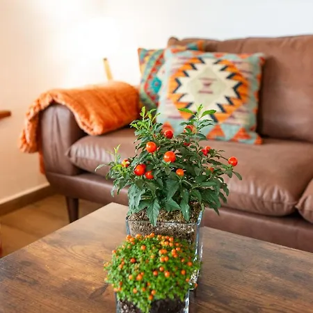 Montes Vindios Apartament Onís