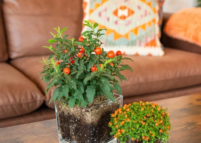 Montes Vindios * Onís