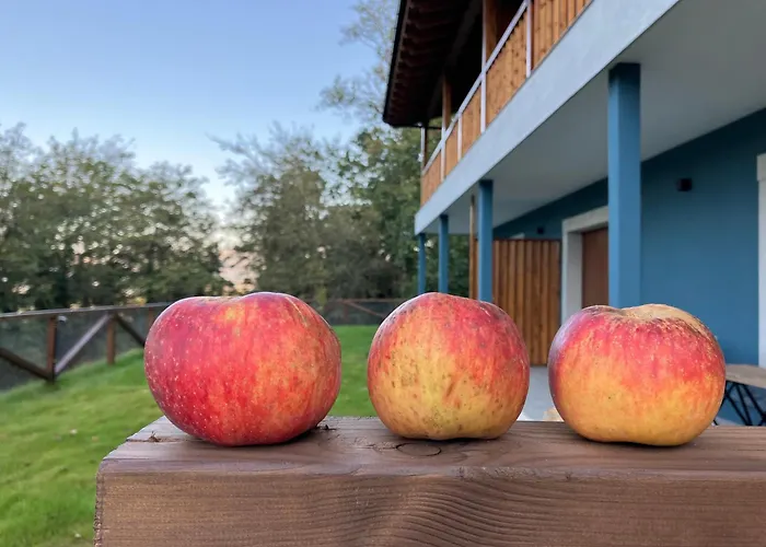 Montes Vindios Onís