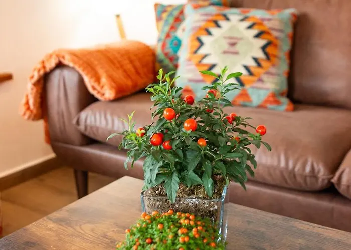 Montes Vindios Appartement Onís